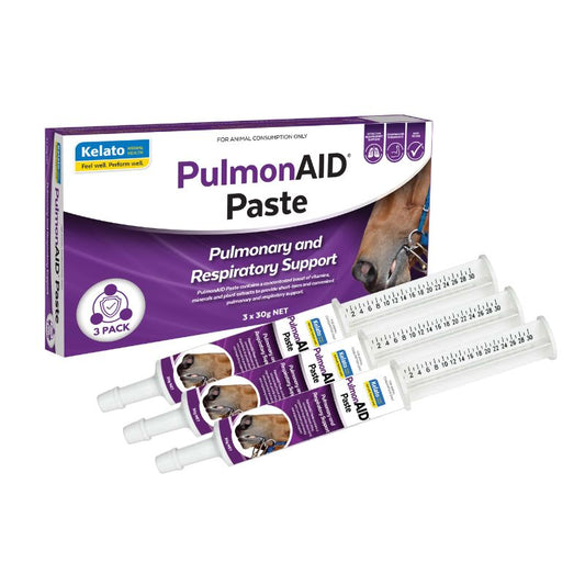 PulmonAID Paste - 3 Pack
