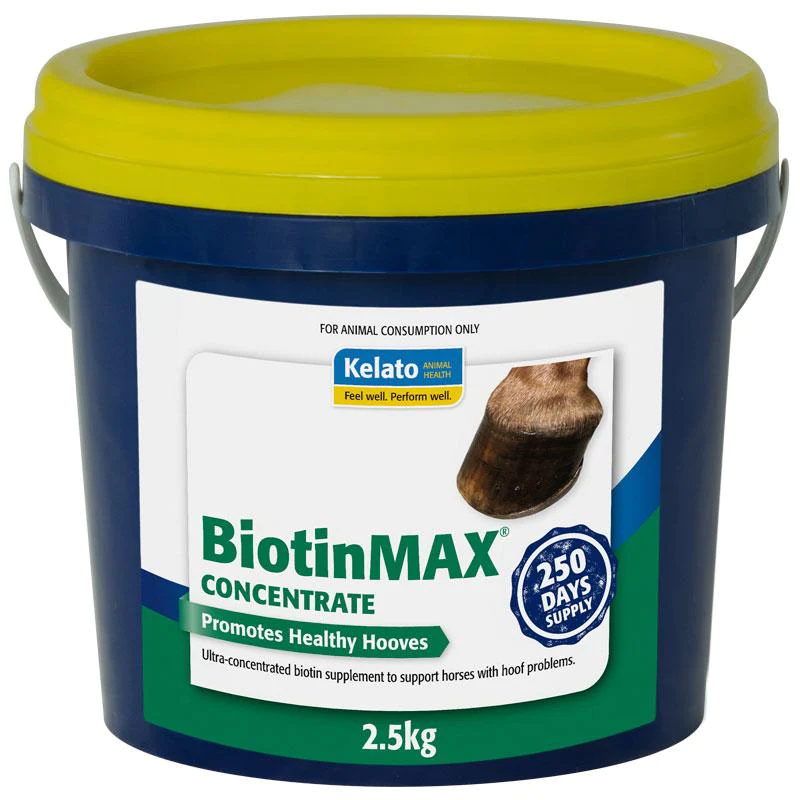 BiotinMAX Concentrate