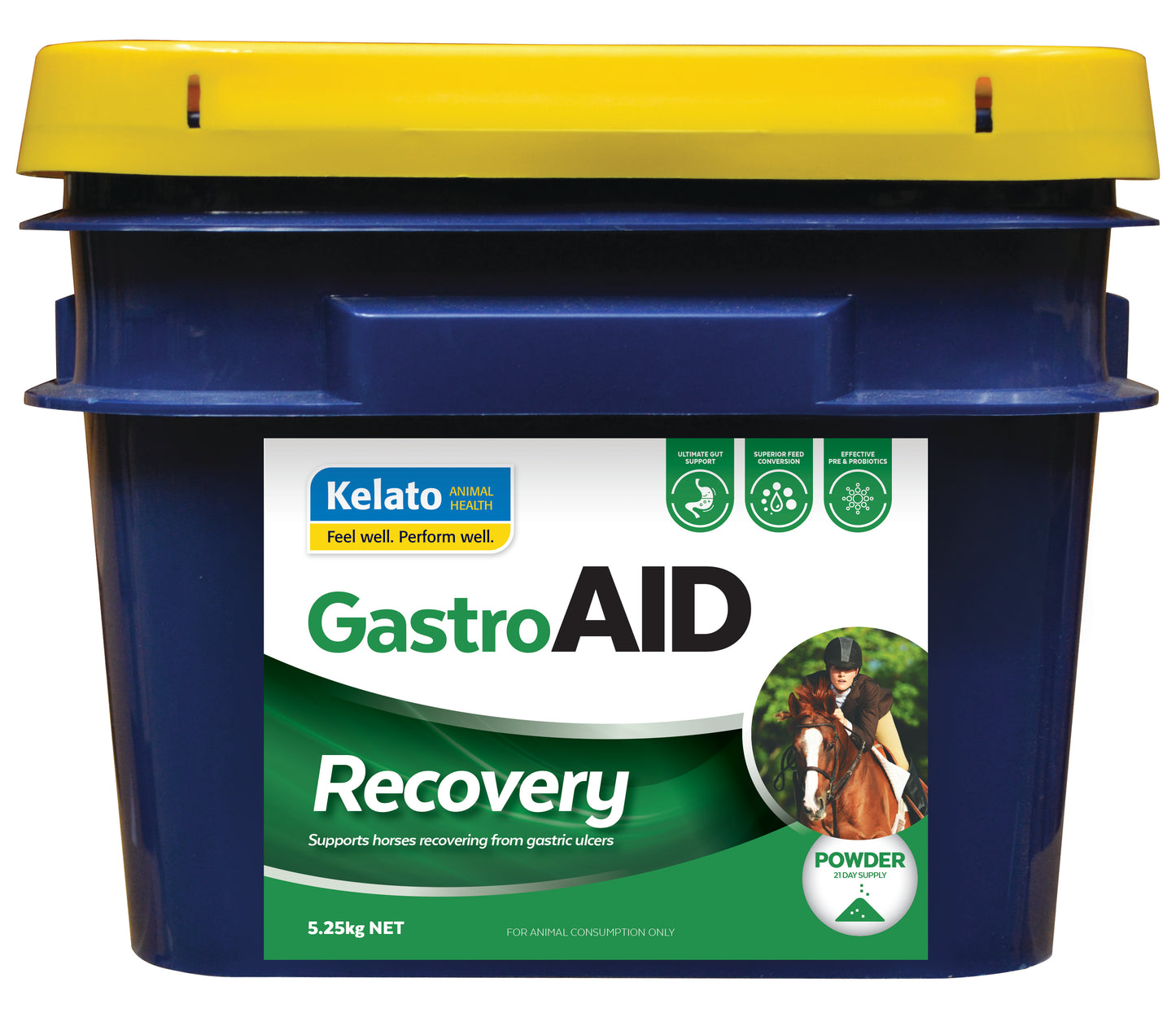 GastroAID Recovery